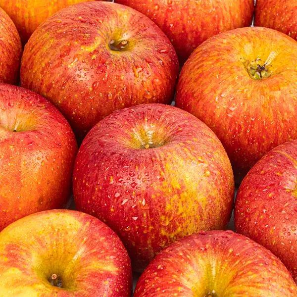 사과 2.5KG 국내산