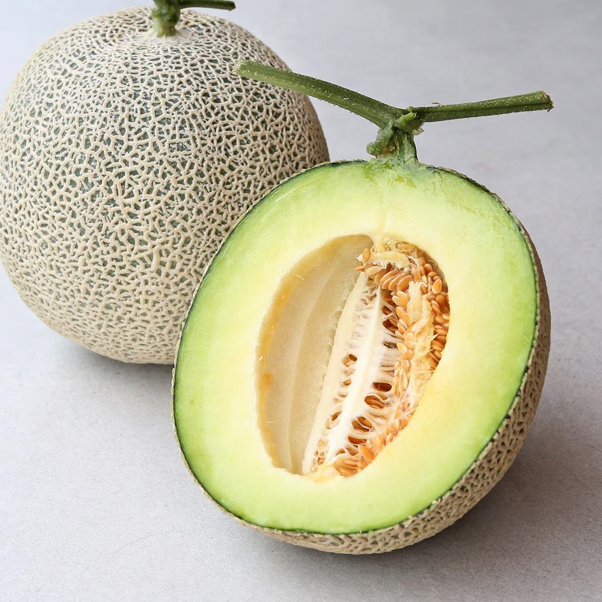 머스크 메론 2입