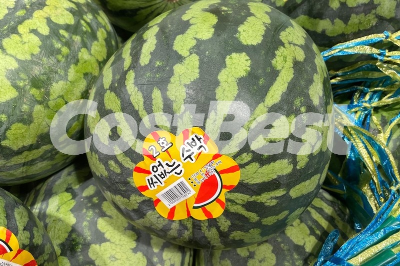 수박 2호 (6KG 미만)