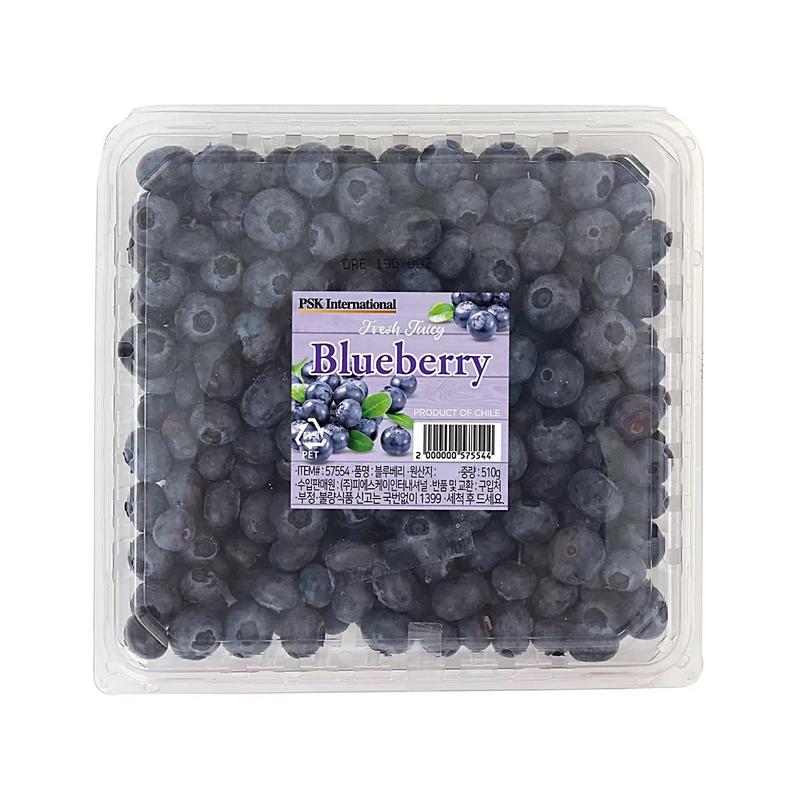 블루베리 510g