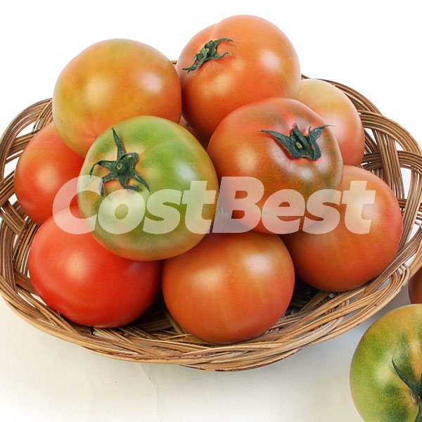 대저 토마토 1.5KG