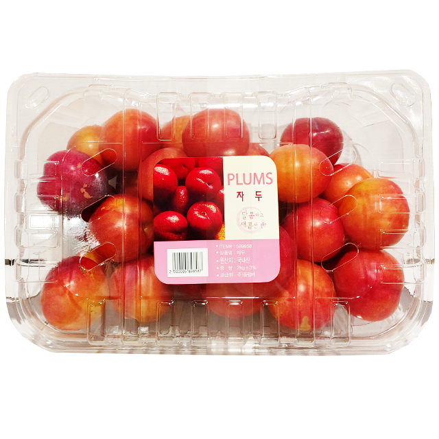 자두 2kg 국내산