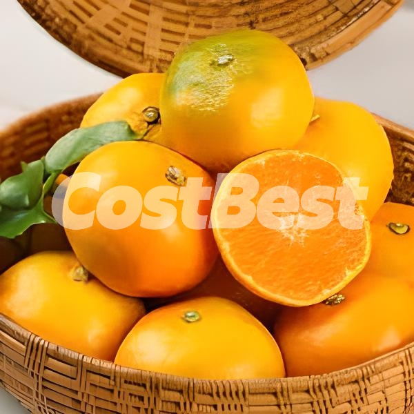 하우스 밀감 2.5kg