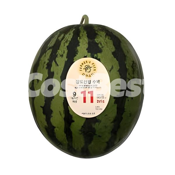 수박５호 (9KG 미만 )
