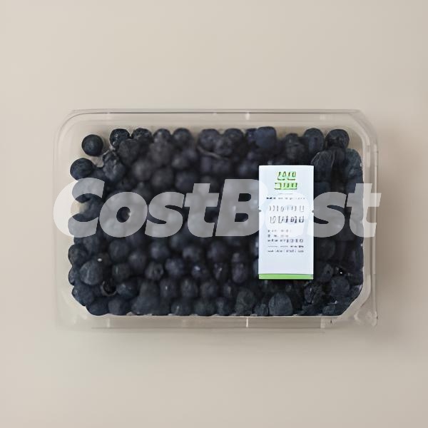 블루베리 500G