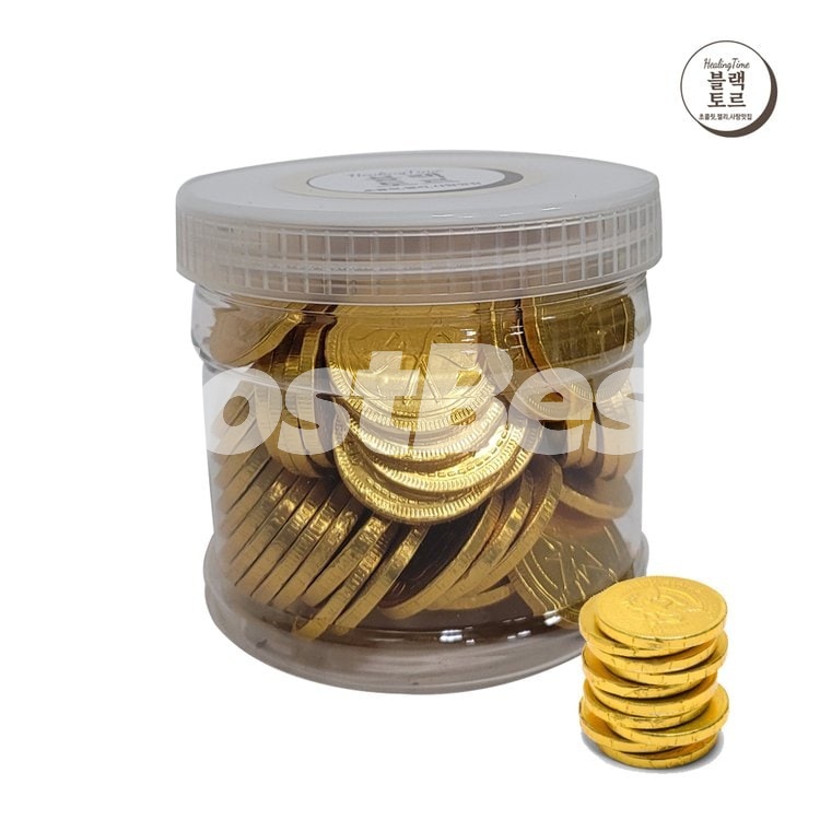 STEENLAND 해적 동전 초콜릿 1250G