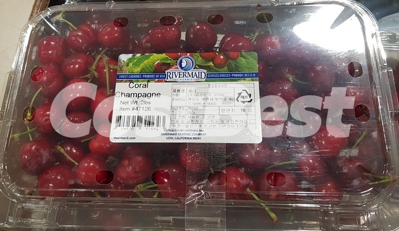 점보 레드체리 (907G)