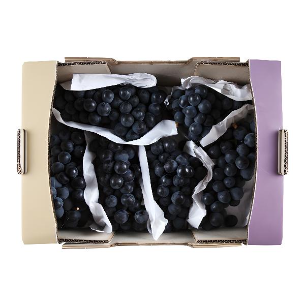 캠벨포도 2kg