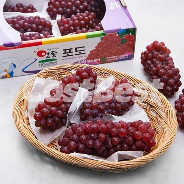델라웨어포도 1KG