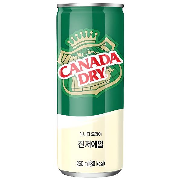 캐나다드라이 진저에일 450ml X 12
