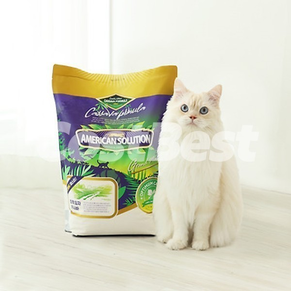 AMERICAN SOLUTION 카사바 모래 5.6KG 
