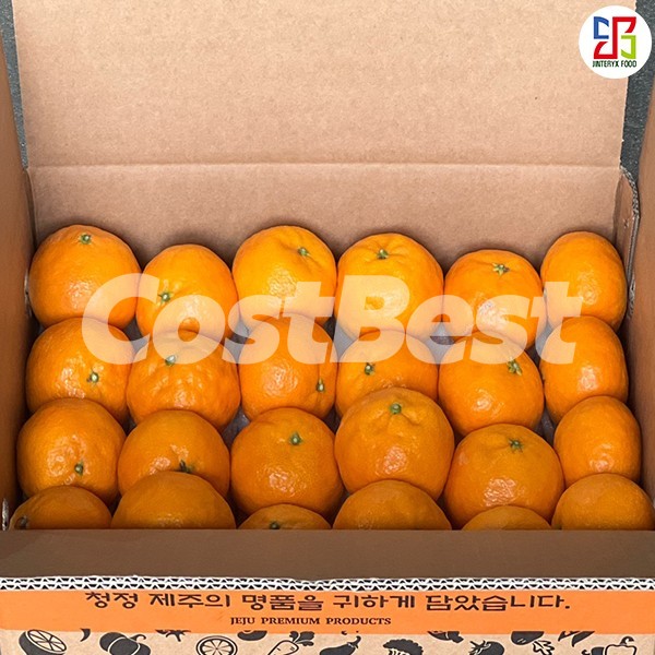 제주카라향 2.5KG