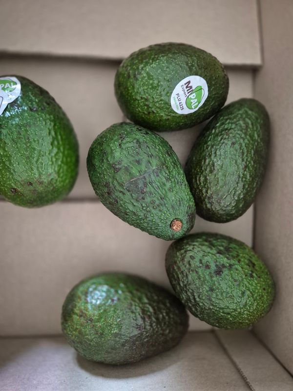 아보카도 6개