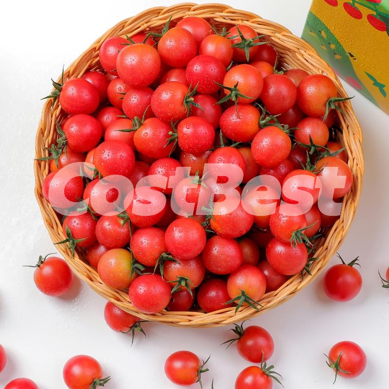 실키 핑크 토마토 2KG