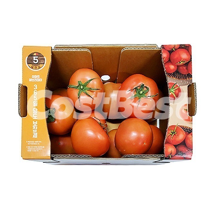 줄기토마토 (3KG)