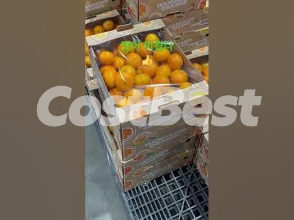 CUTIES 밀감 (2.27KG이상)