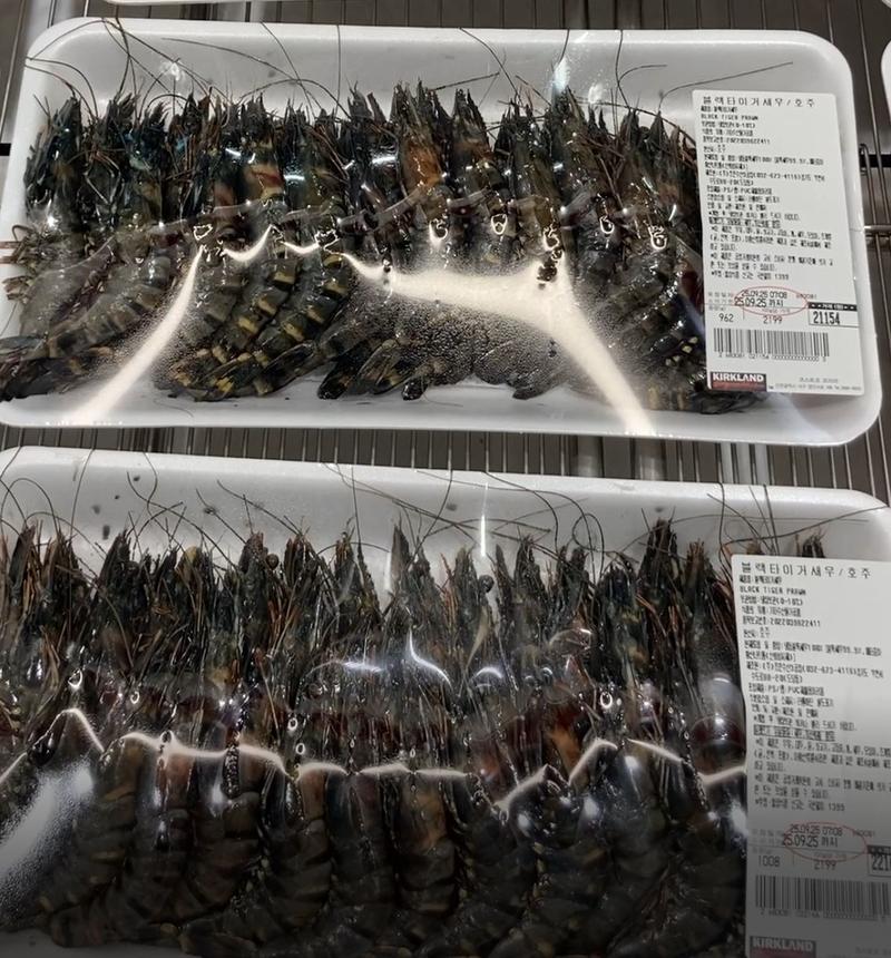 블랙타이거 새우 (KG당단가)