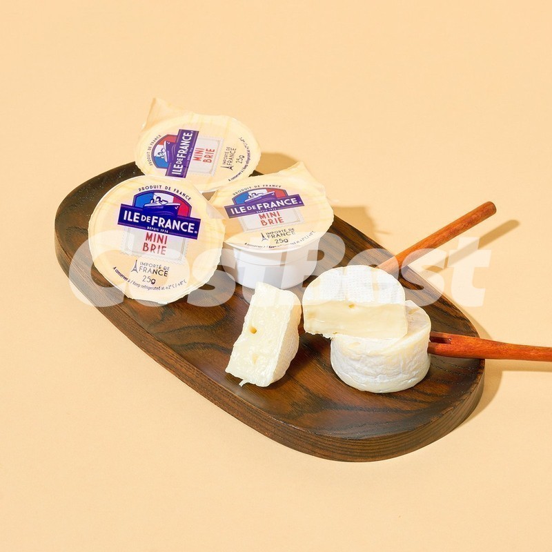 Arla MON AMI 몬아미와일드르 125G*9입 사지·프랑스
