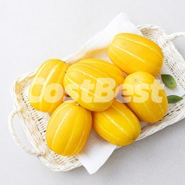 미니참외 (4KG)