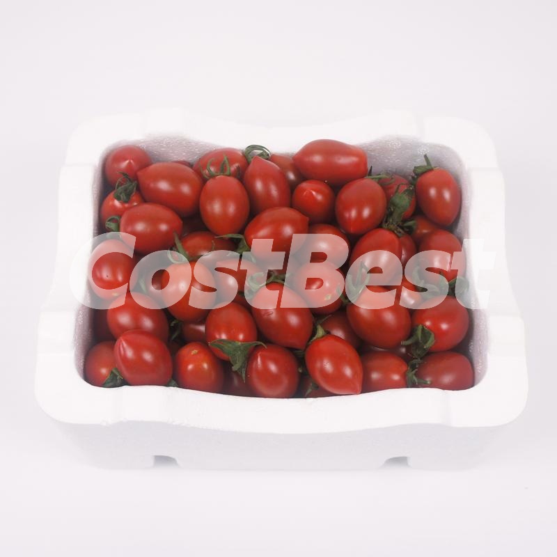 미니 대추 토마토 2.5kg