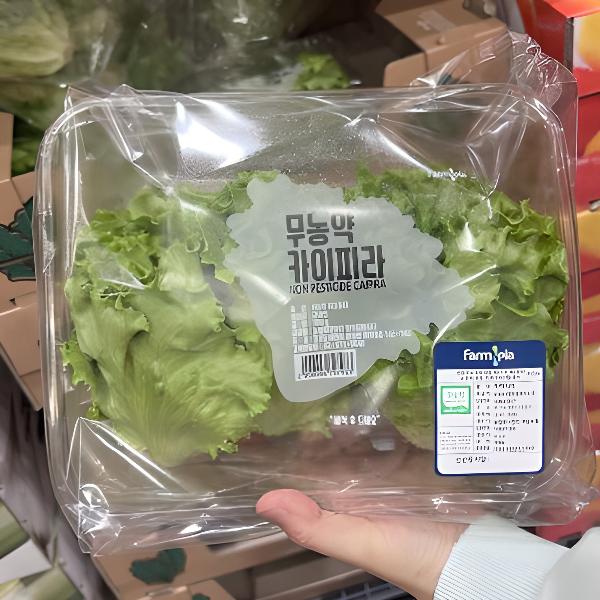 무농약 카이피라 400G(국내산)