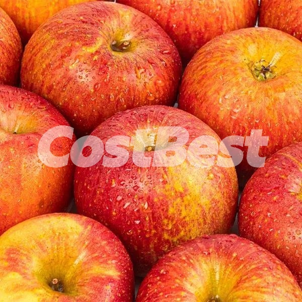 사과 2.5KG 국내산