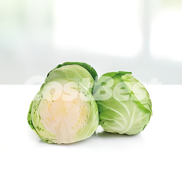절단 양배추(1KG)