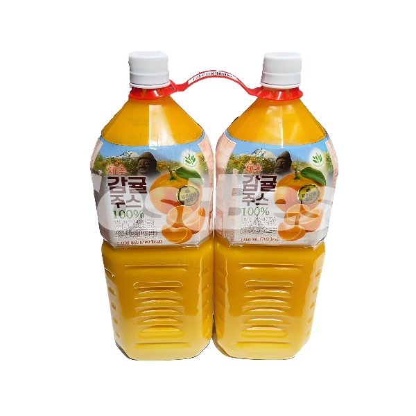 BALANCE GROW제주감귤 주스2L X 2