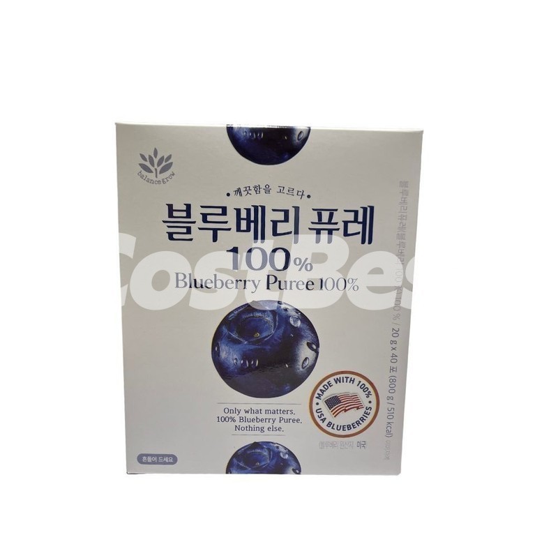 BALANCE GROW 블루베리 퓨레 20G X 40