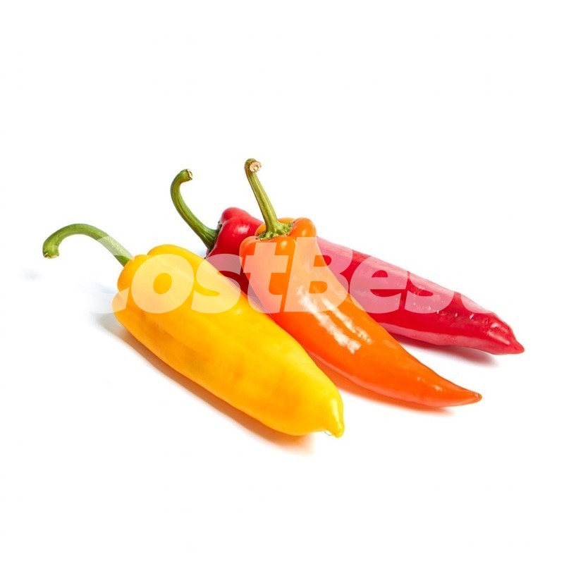 트리벨리 파프리카 (1KG)