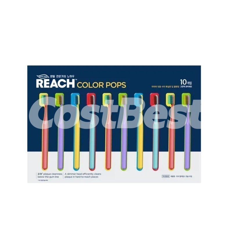 REACH 리치 컬러팝스와이드칫솔 10개