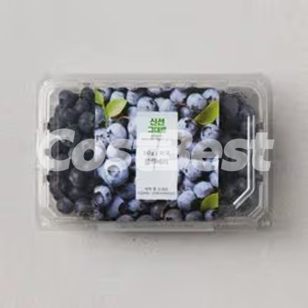 블루베리 312G