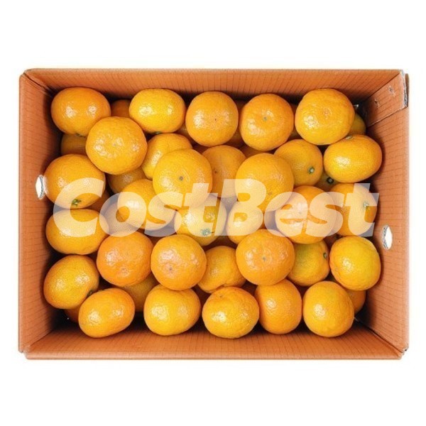 그린향 밀감 (2KG)