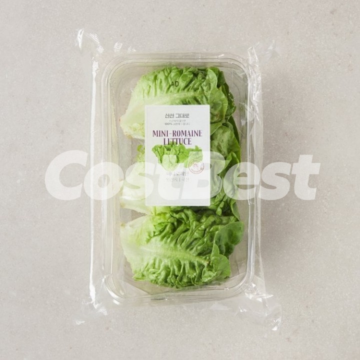 아티산 로메인(롱)