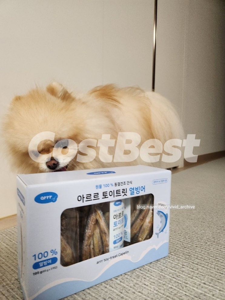 아르르 강아지&고양이 열빙어간식 65G X 3