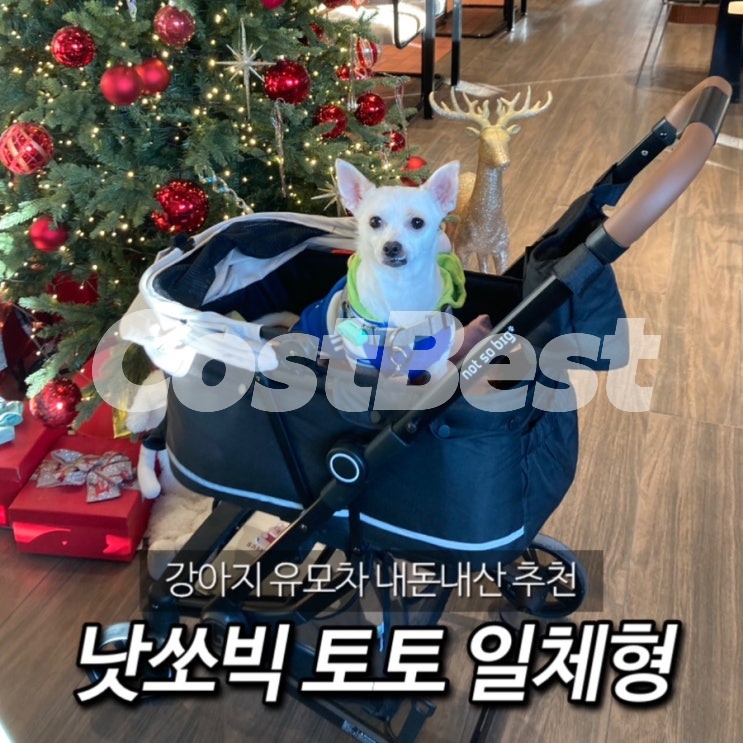 낫�쏘북 토토 펫유모차