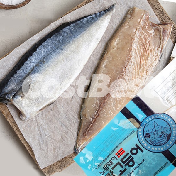해동 피뿔고등살 팩당